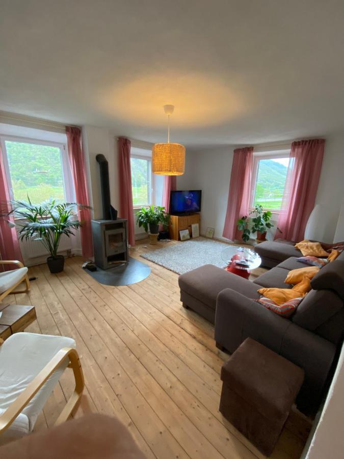 Villa Helles, Gemuetliches Haus Mit Moselblick à Müden Extérieur photo