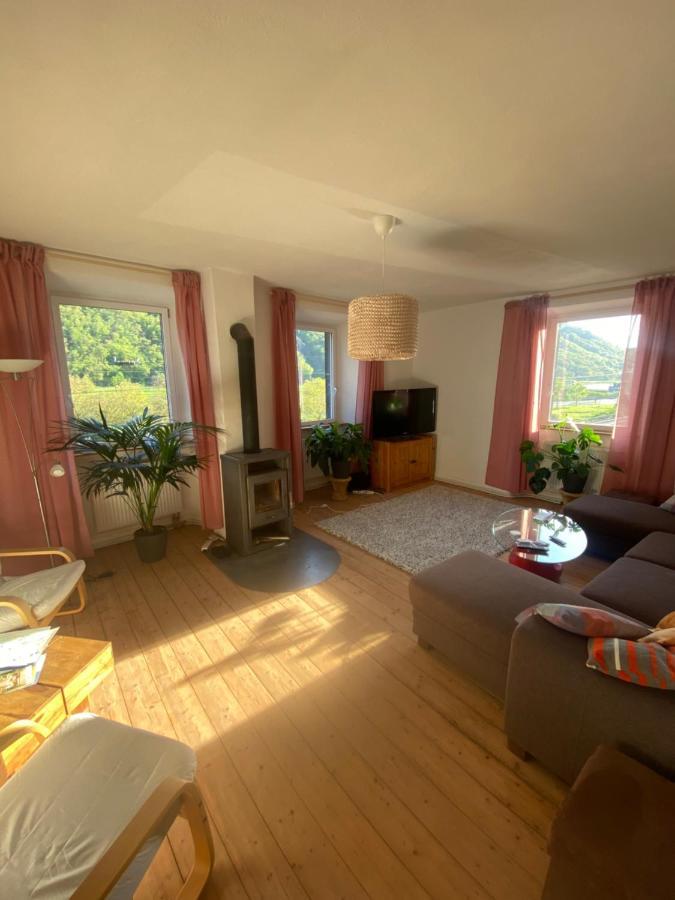 Villa Helles, Gemuetliches Haus Mit Moselblick à Müden Extérieur photo